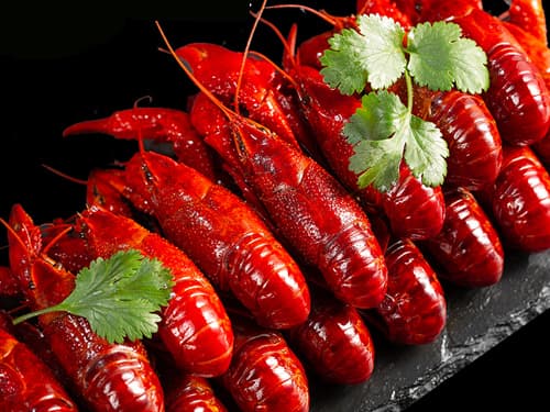 清溪镇小龙虾培训